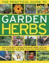 Practical Guide to Garden Herbs cover