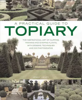 Practical Guide to Topiary cover