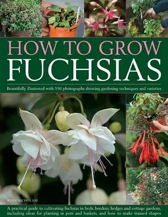 How to Grow Fuchsias cover