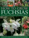 How to Grow Fuchsias cover