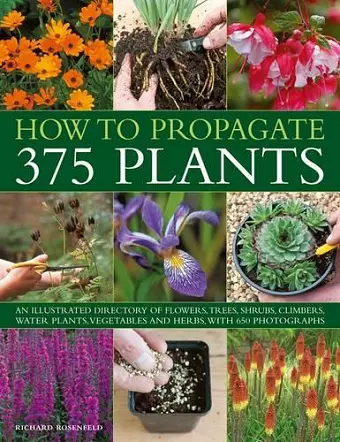 How to Propagate 375 Plants cover