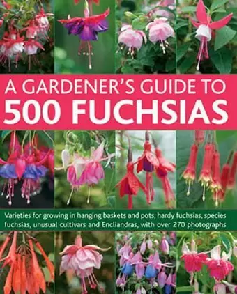 Gardener's Guide to 500 Fuchsias cover
