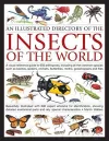 Illustrated Directory of Insects of the World cover