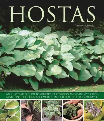 Hostas cover