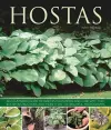 Hostas cover