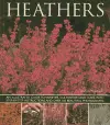 Heathers cover
