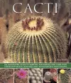 Cacti cover