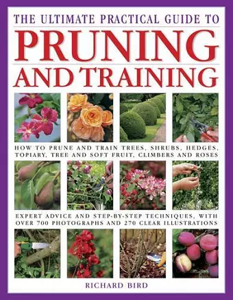 Ultimate Practical Guide to Pruning and Training cover