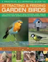A Practical Illustrated Guide to Attracting & Feeding Garden Birds cover