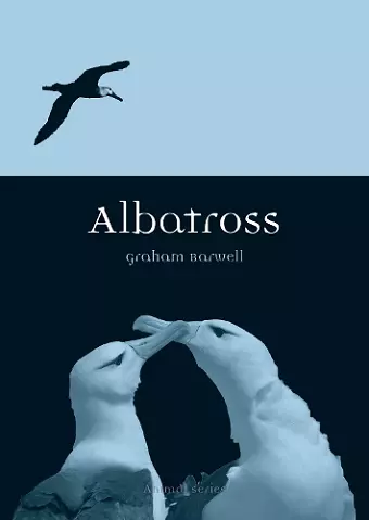 Albatross cover