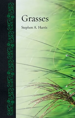 Grasses cover