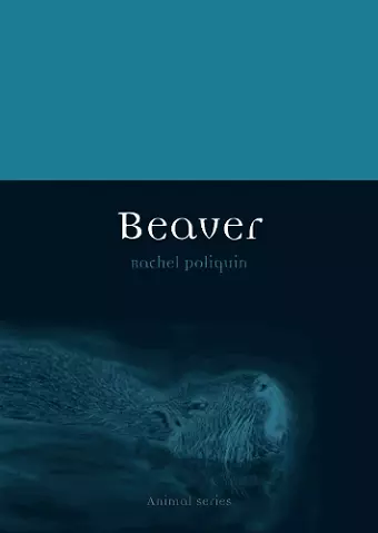 Beaver cover