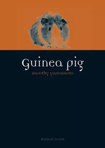 Guinea Pig cover