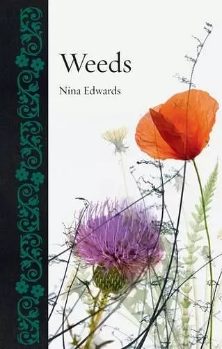 Weeds cover