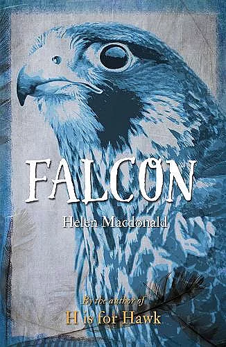 Falcon cover