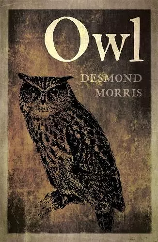 Owl cover