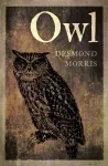 Owl cover
