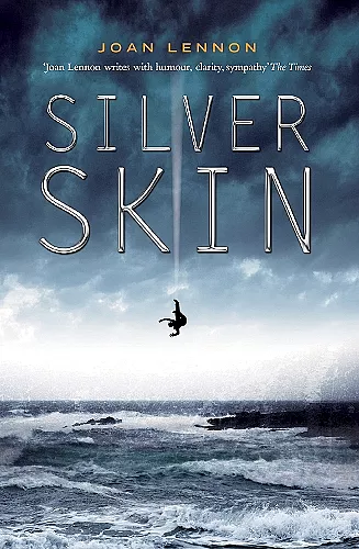 Silver Skin cover