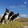 Polly's Collies Calendar 2019 cover