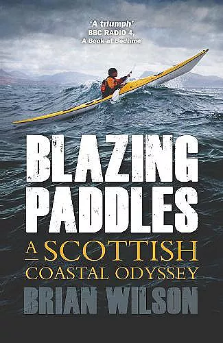 Blazing Paddles cover