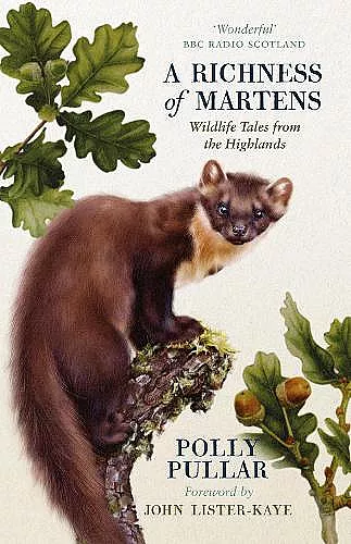 A Richness of Martens cover