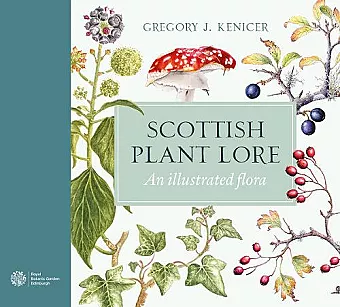 Scottish Plant Lore cover