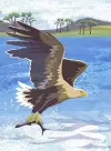 Nature Notebook: Sea Eagle cover