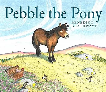 Pebble the Pony cover