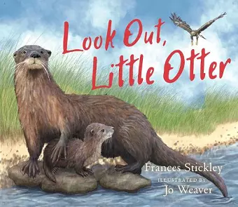 Look Out, Little Otter cover