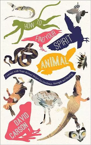 How to Find Your Spirit Animal cover