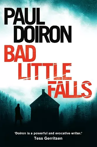 Bad Little Falls cover