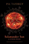 Salamander Sun and Other Poems cover