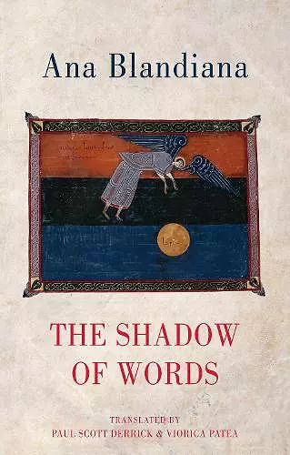 The Shadow of Words cover