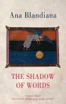 The Shadow of Words cover