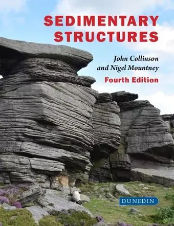 Sedimentary Structures cover