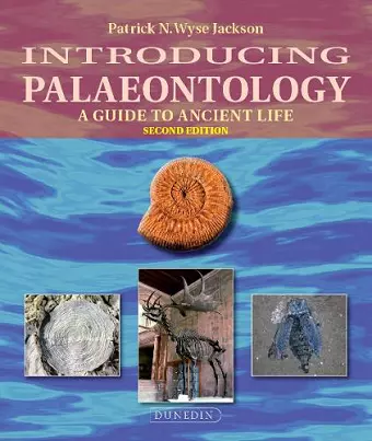 Introducing Palaeontology cover