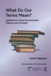 What Do Our Terms Mean? cover