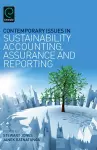 Contemporary Issues in Sustainability Accounting, Assurance and Reporting cover