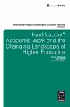 Hard Labour? Academic Work and the Changing Landscape of Higher Education cover
