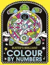 Buster's Brilliant Colour By Numbers cover