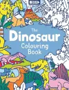 The Dinosaur Colouring Book cover