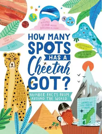 How Many Spots Has a Cheetah Got? cover