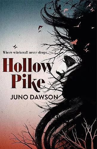 Hollow Pike cover