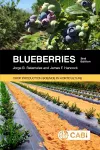 Blueberries cover