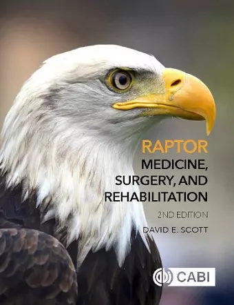 Raptor Medicine, Surgery, and Rehabilitation cover