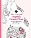 The Peaceful Pregnancy Colouring Book cover