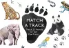 Match a Track cover