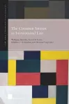 The Common Interest in International Law cover