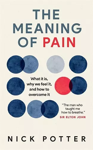 The Meaning of Pain cover