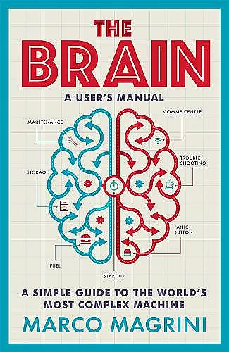 The Brain: A User's Manual cover